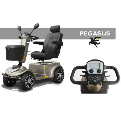 Scooter de altas prestaciones PEGASUS